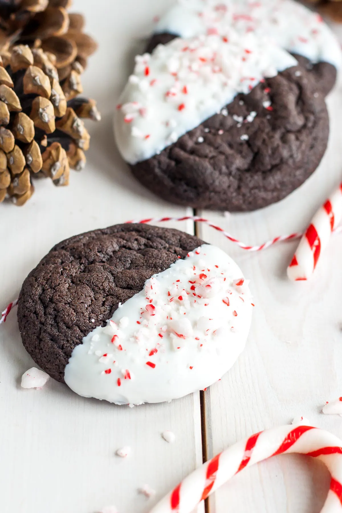 Dark Chocolate Candy Cane Cookies! The classic combination of chocolate and peppermint make these Dark Chocolate Candy Cane Cookies the perfect treat for the holidays! | livforcake.com The classic combination of chocolate and peppermint make these Dark Chocolate Candy Cane Cookies the perfect treat for the holidays!
