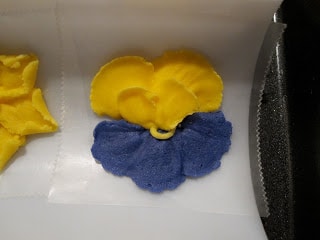 A close up of a flower