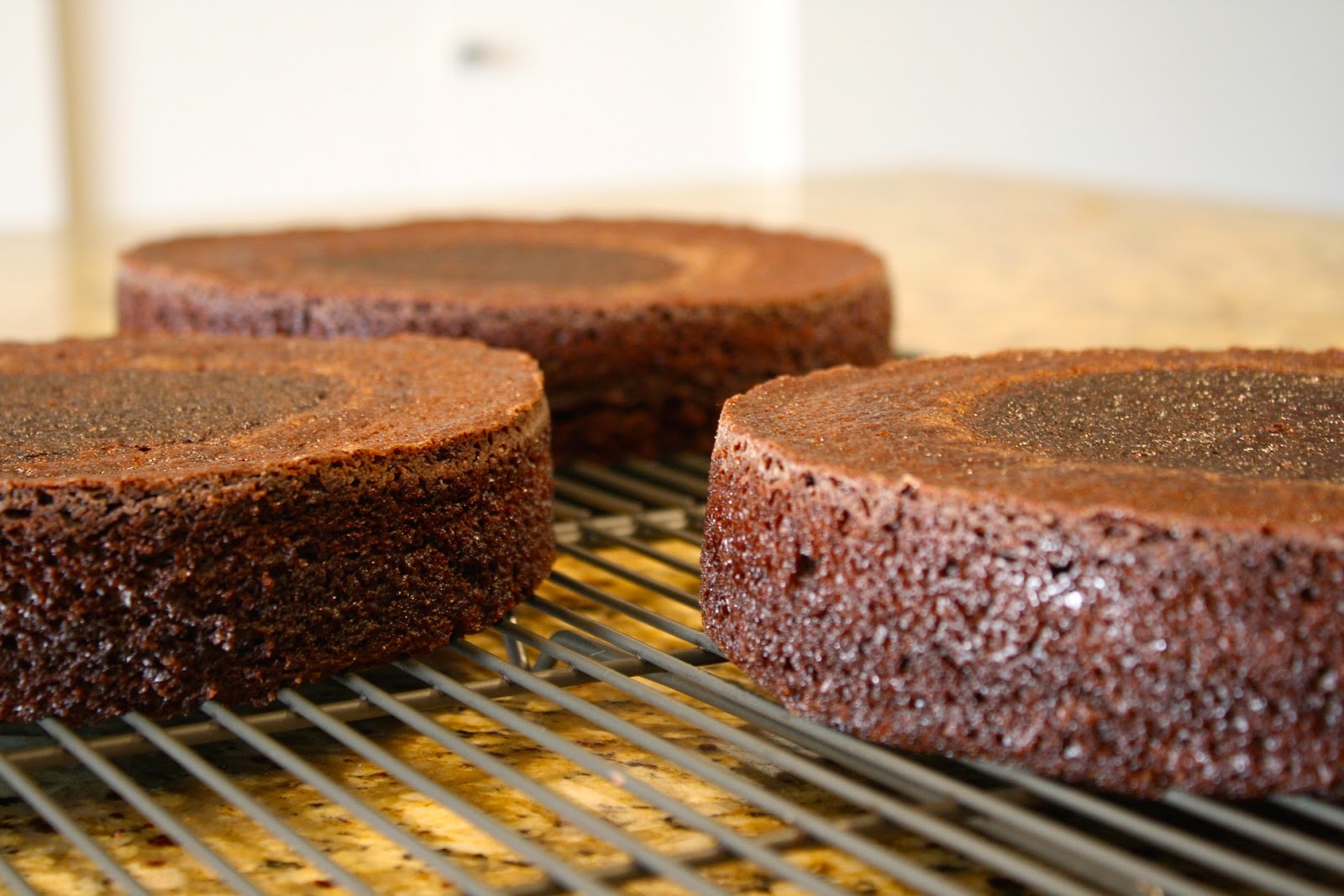 A close up of a piece of the cakes on a cooling rack.