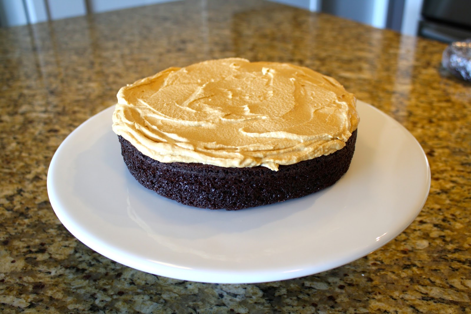 Cake layer frosted on a plate.