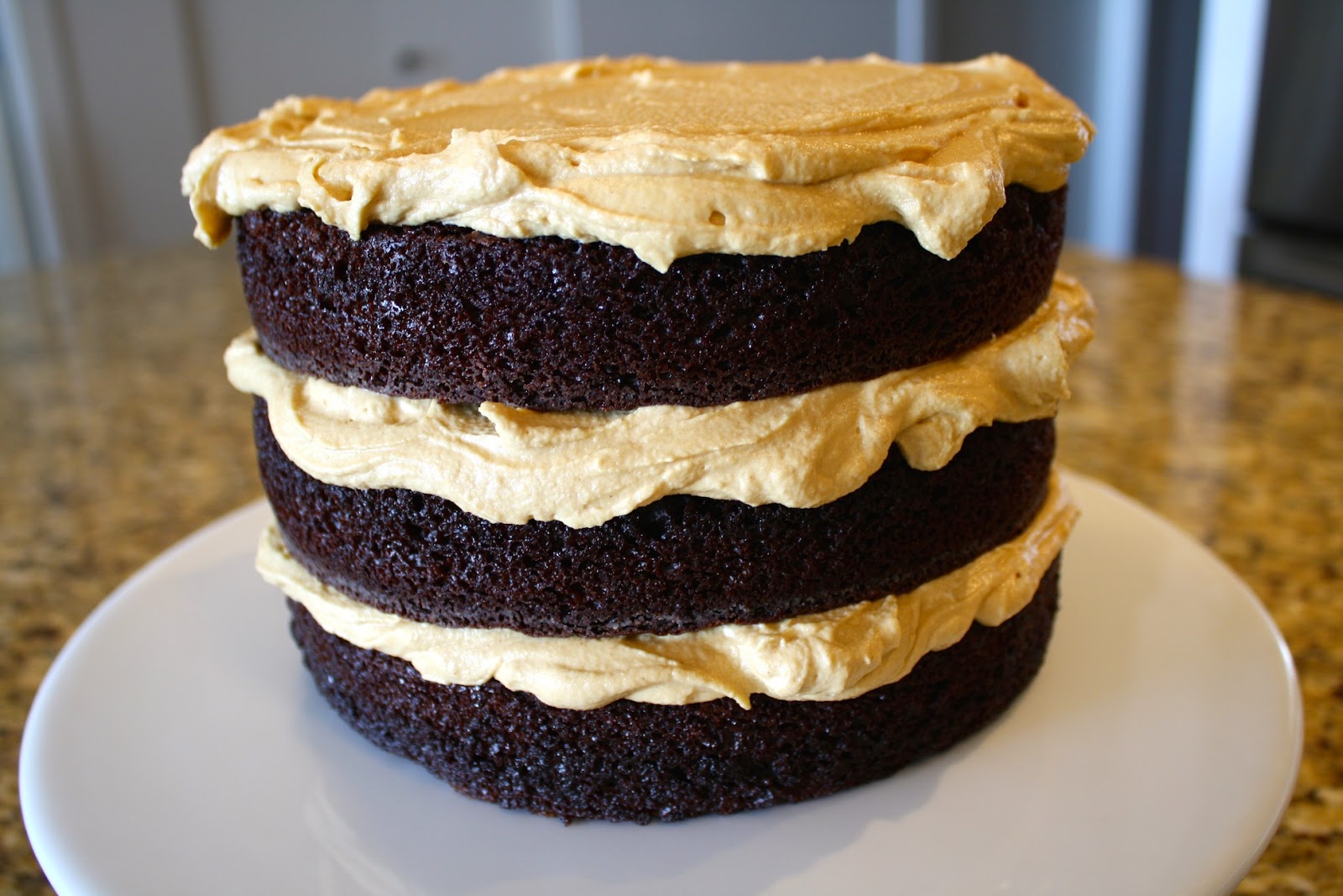 Close up of the side of the cake.