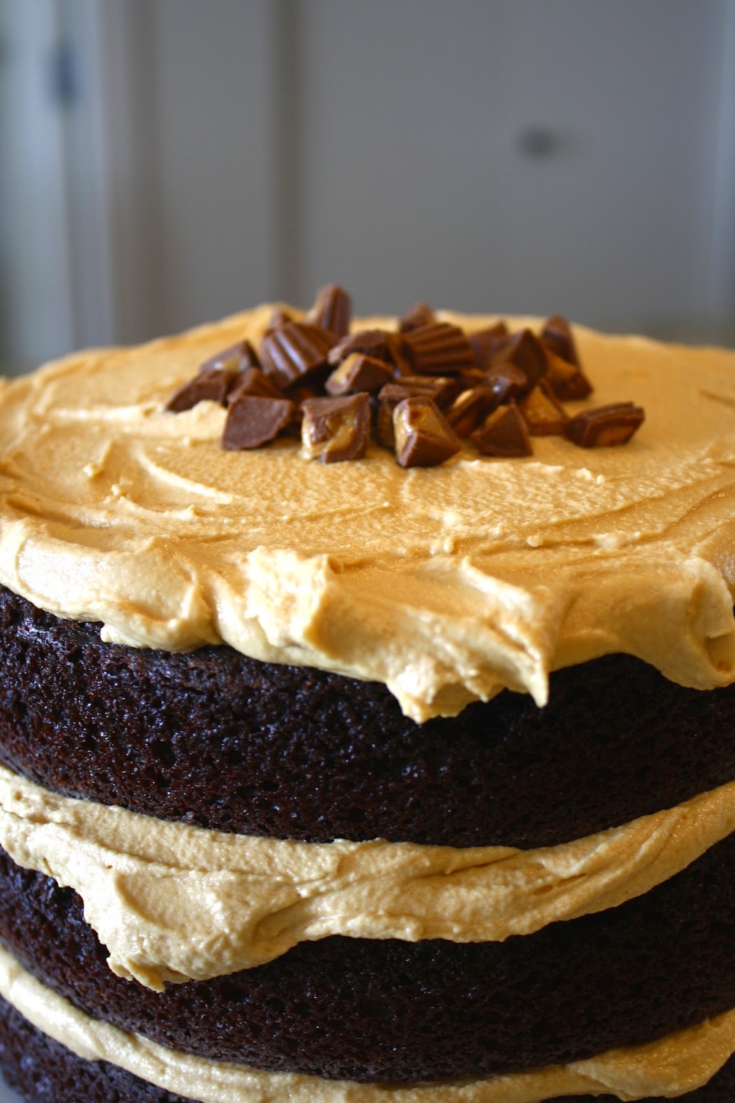 A close up of the top of the cake