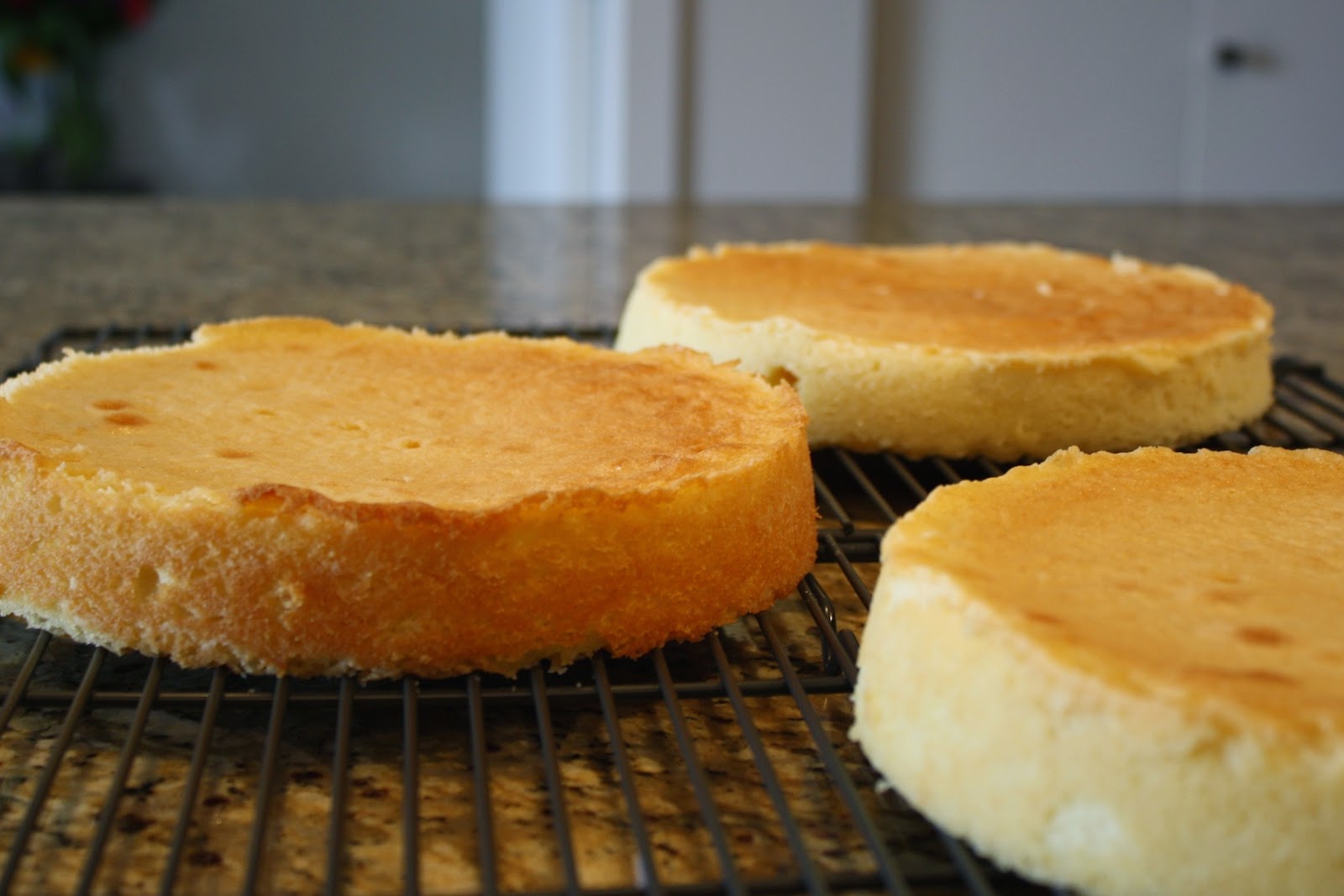 Cake layers on a cooling rack.