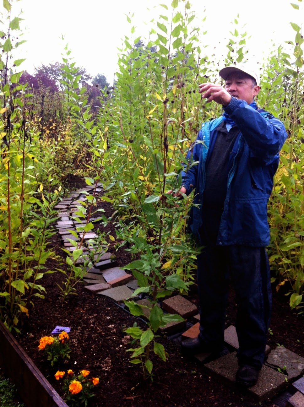 A person standing in a garden