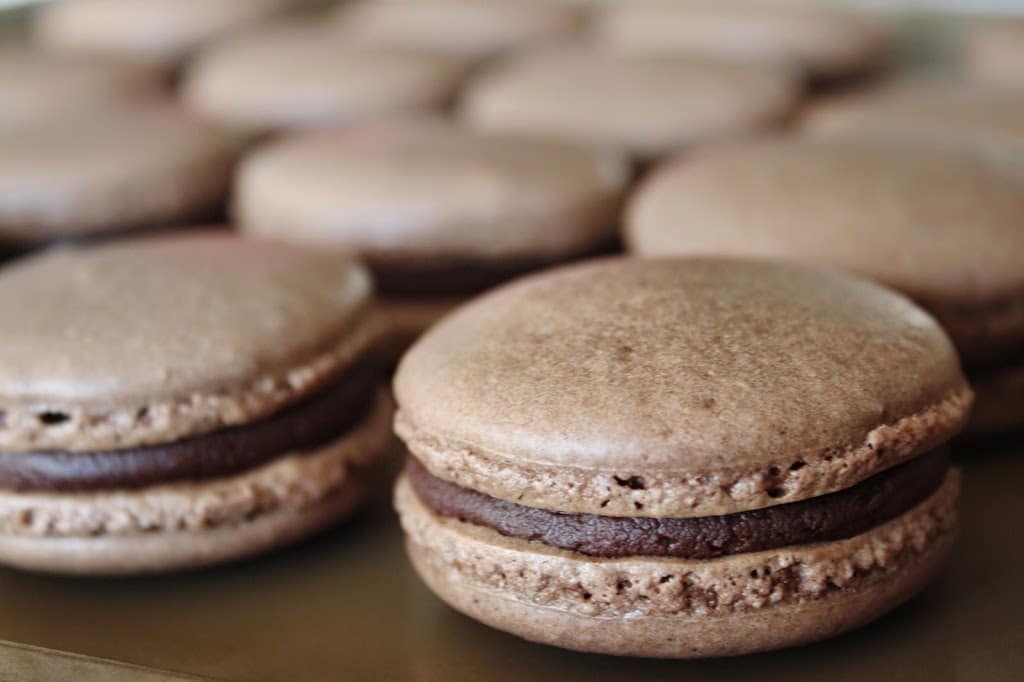 Close up of chocolate macaron.