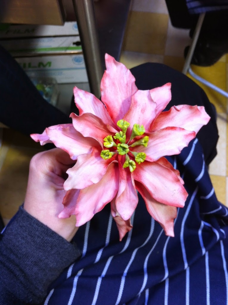 Scenes from a pastry kitchen.