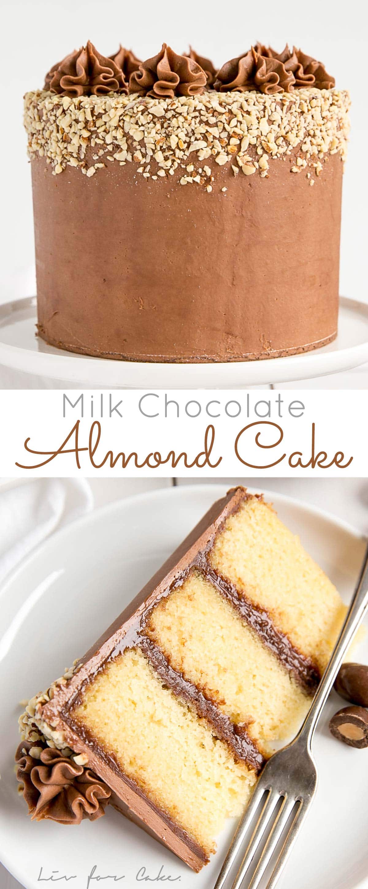 Milk Chocolate Almond Cake!