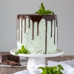 Cake on a white cake stand with mint garnish.