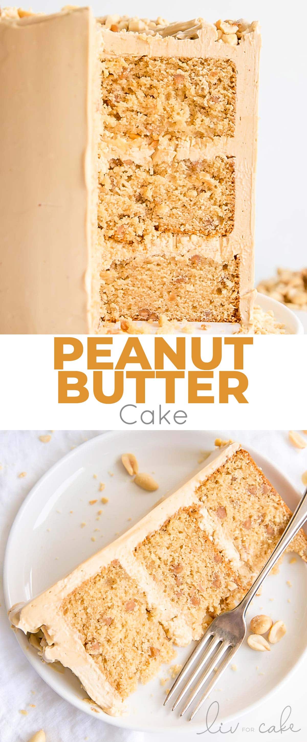 Peanut butter lovers, this cake is for you! Peanut butter cake layers studded with peanut butter chips covered in a peanut butter Swiss meringue buttercream. | livforcake.com Peanut butter cake collage