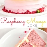This Raspberry Mango Cake is the perfect way to celebrate the summer months. Raspberry cake layers and a heavenly mango frosting. | livforcake.com